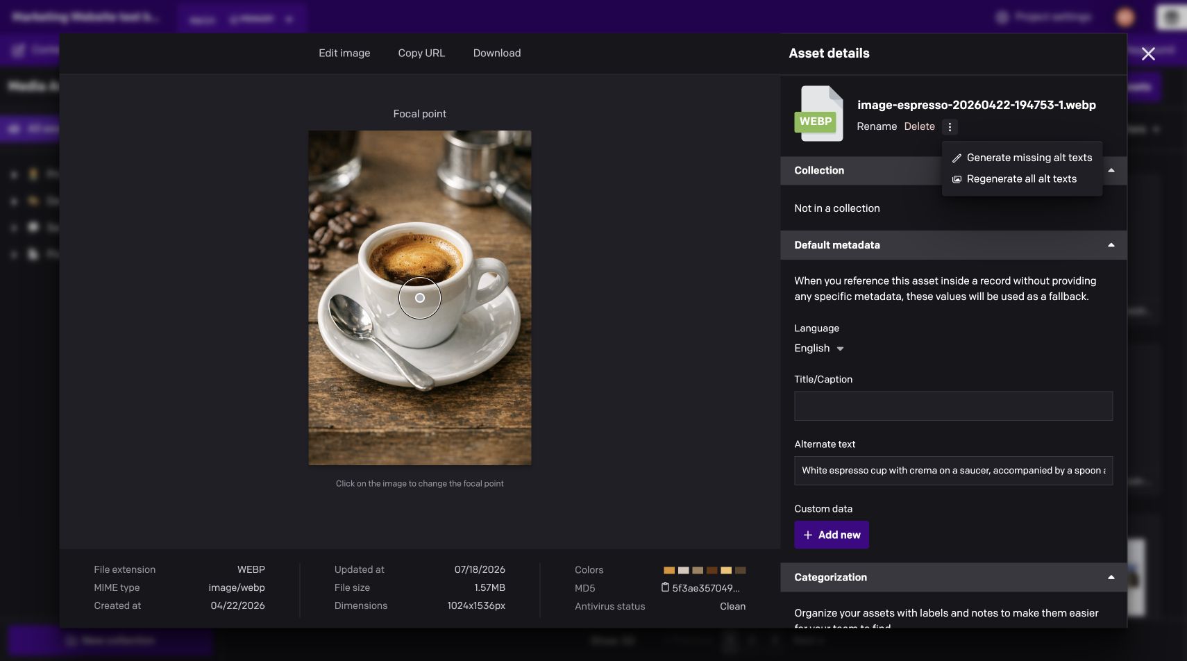 Alt text generation actions on an open DatoCMS image asset
